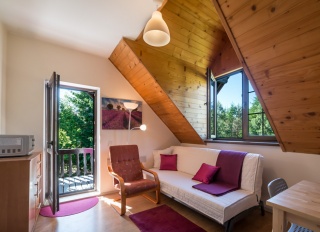Pokój nr 7 typu studio